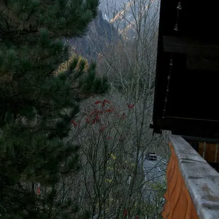 Gasthof Haus Brunhilde Bürserberg